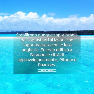 Picture 05 - Esodo 1:11 RIV - Stabilirono dunque sopra Israele de’ - Bible Verse Picture