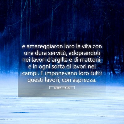 Picture 05 - Esodo 1:14 RIV - e amareggiaron loro la vita con una dura - Bible Verse Picture