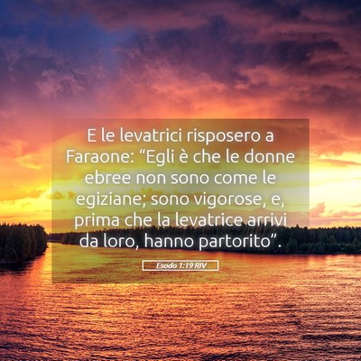 Picture 05 - Esodo 1:19 RIV - E le levatrici risposero a Faraone: “Egli è - Bible Verse Picture