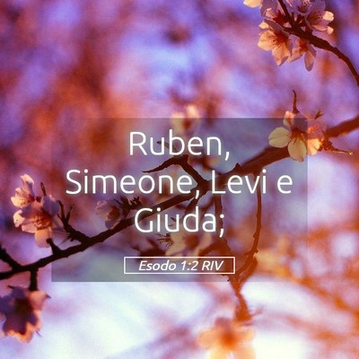 Picture 05 - Esodo 1:2 RIV - Ruben, Simeone, Levi e - Bible Verse Picture
