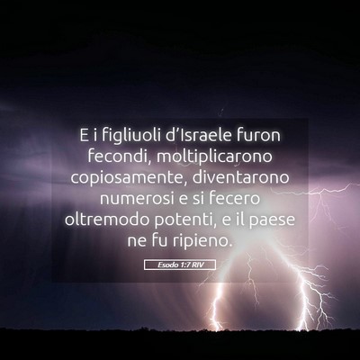 Picture 05 - Esodo 1:7 RIV - E i figliuoli d’Israele furon fecondi, - Bible Verse Picture
