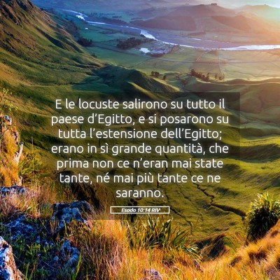 Picture 05 - Esodo 10:14 RIV - E le locuste salirono su tutto il paese - Bible Verse Picture