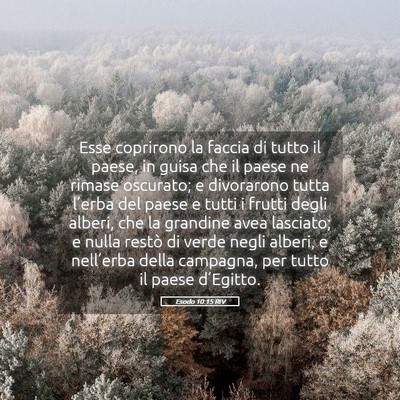 Picture 05 - Esodo 10:15 RIV - Esse coprirono la faccia di tutto il paese, in - Bible Verse Picture