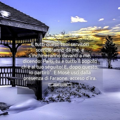 Picture 05 - Esodo 11:8 RIV - E tutti questi tuoi servitori scenderanno da me, - Bible Verse Picture