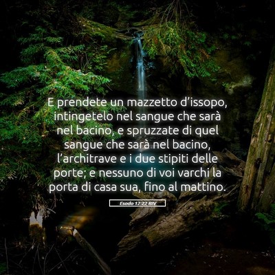Picture 05 - Esodo 12:22 RIV - E prendete un mazzetto d’issopo, intingetelo - Bible Verse Picture
