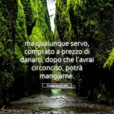 Picture 05 - Esodo 12:44 RIV - ma qualunque servo, comprato a prezzo di danaro, - Bible Verse Picture