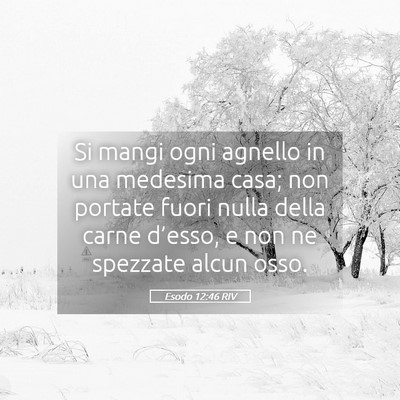 Picture 05 - Esodo 12:46 RIV - Si mangi ogni agnello in una medesima casa; non - Bible Verse Picture