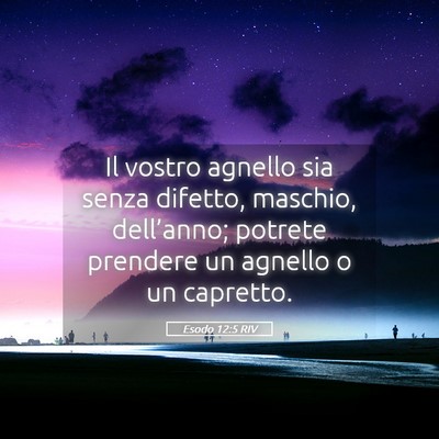 Picture 05 - Esodo 12:5 RIV - Il vostro agnello sia senza difetto, maschio, - Bible Verse Picture