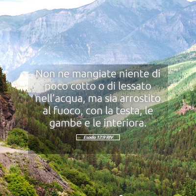 Picture 05 - Esodo 12:9 RIV - Non ne mangiate niente di poco cotto o di lessato - Bible Verse Picture