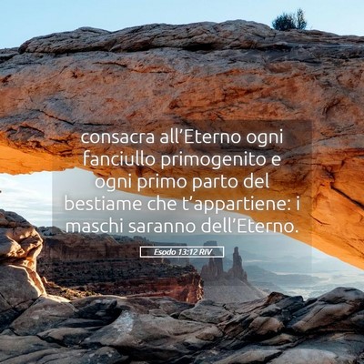 Picture 05 - Esodo 13:12 RIV - consacra all’Eterno ogni fanciullo primogenito - Bible Verse Picture