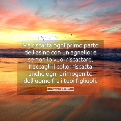 Picture 05 - Esodo 13:13 RIV - Ma riscatta ogni primo parto dell’asino con un - Bible Verse Picture