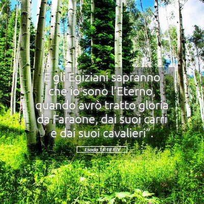 Picture 05 - Esodo 14:18 RIV - E gli Egiziani sapranno che io sono l’Eterno, - Bible Verse Picture