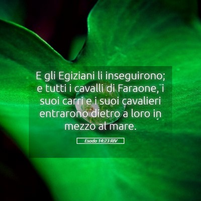 Picture 05 - Esodo 14:23 RIV - E gli Egiziani li inseguirono; e tutti i cavalli - Bible Verse Picture