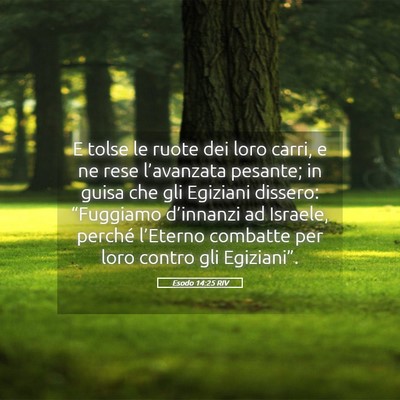 Picture 05 - Esodo 14:25 RIV - E tolse le ruote dei loro carri, e ne rese - Bible Verse Picture