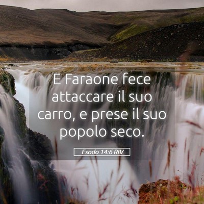 Picture 05 - Esodo 14:6 RIV - E Faraone fece attaccare il suo carro, e prese il - Bible Verse Picture
