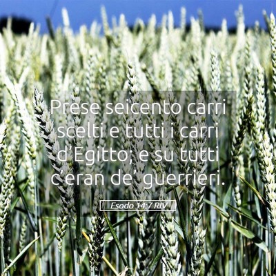 Picture 05 - Esodo 14:7 RIV - Prese seicento carri scelti e tutti i carri - Bible Verse Picture