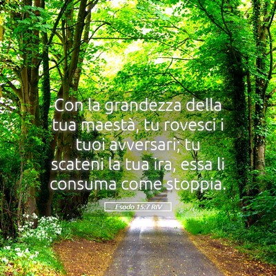 Picture 05 - Esodo 15:7 RIV - Con la grandezza della tua maestà, tu rovesci i - Bible Verse Picture