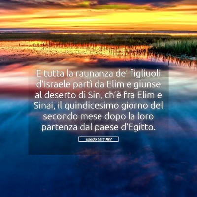 Picture 05 - Esodo 16:1 RIV - E tutta la raunanza de’ figliuoli d’Israele - Bible Verse Picture