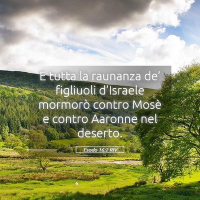 Picture 05 - Esodo 16:2 RIV - E tutta la raunanza de’ figliuoli d’Israele - Bible Verse Picture