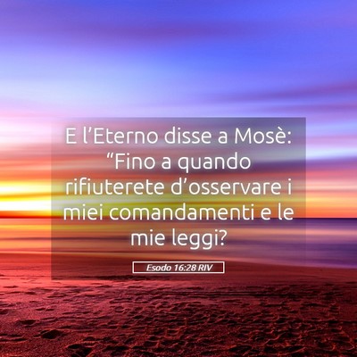 Picture 05 - Esodo 16:28 RIV - E l’Eterno disse a Mosè: “Fino a quando - Bible Verse Picture