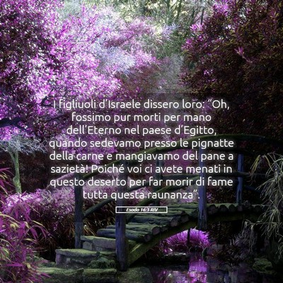 Picture 05 - Esodo 16:3 RIV - I figliuoli d’Israele dissero loro: “Oh, - Bible Verse Picture