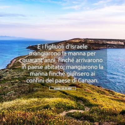 Picture 05 - Esodo 16:35 RIV - E i figliuoli d’Israele mangiarono la manna per - Bible Verse Picture