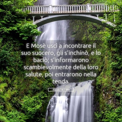 Picture 05 - Esodo 18:7 RIV - E Mosè uscì a incontrare il suo suocero, gli - Bible Verse Picture