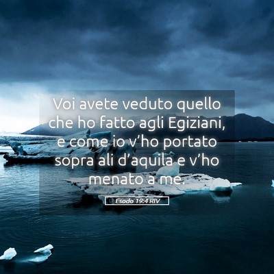 Picture 05 - Esodo 19:4 RIV - Voi avete veduto quello che ho fatto agli - Bible Verse Picture