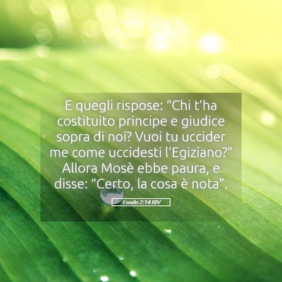 Picture 05 - Esodo 2:14 RIV - E quegli rispose: “Chi t’ha costituito - Bible Verse Picture