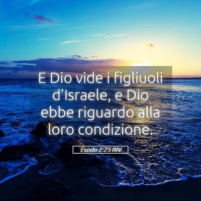 Picture 05 - Esodo 2:25 RIV - E Dio vide i figliuoli d’Israele, e Dio ebbe - Bible Verse Picture