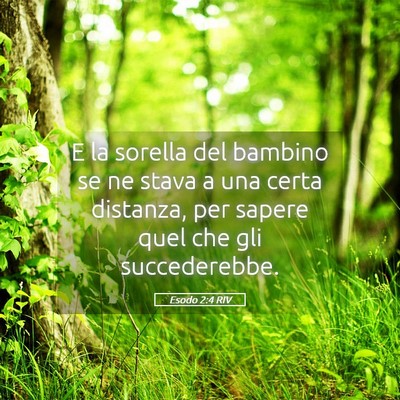 Picture 05 - Esodo 2:4 RIV - E la sorella del bambino se ne stava a una certa - Bible Verse Picture