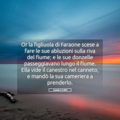 Picture 05 - Esodo 2:5 RIV - Or la figliuola di Faraone scese a fare le sue - Bible Verse Picture