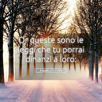 Picture 05 - Esodo 21:1 RIV - Or queste sono le leggi che tu porrai dinanzi a - Bible Verse Picture