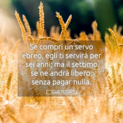 Picture 05 - Esodo 21:2 RIV - Se compri un servo ebreo, egli ti servirà per - Bible Verse Picture