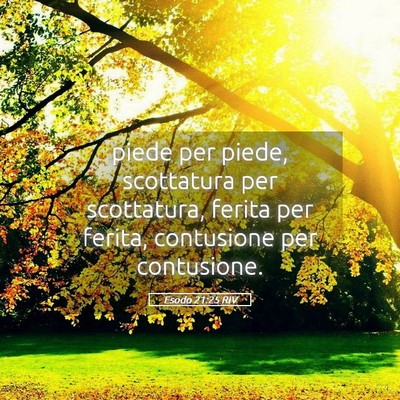 Picture 05 - Esodo 21:25 RIV - piede per piede, scottatura per scottatura, - Bible Verse Picture