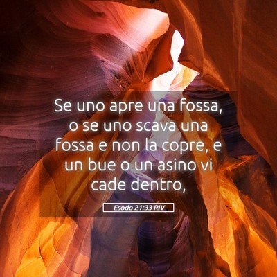 Picture 05 - Esodo 21:33 RIV - Se uno apre una fossa, o se uno scava una fossa e - Bible Verse Picture