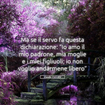 Picture 05 - Esodo 21:5 RIV - Ma se il servo fa questa dichiarazione: “Io amo - Bible Verse Picture