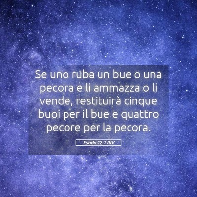 Picture 05 - Esodo 22:1 RIV - Se uno ruba un bue o una pecora e li ammazza o li - Bible Verse Picture