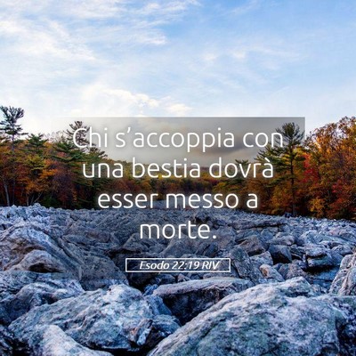 Picture 05 - Esodo 22:19 RIV - Chi s’accoppia con una bestia dovrà esser - Bible Verse Picture