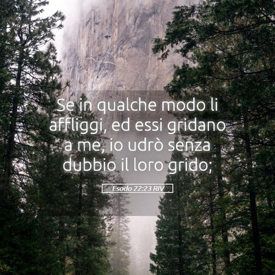 Picture 05 - Esodo 22:23 RIV - Se in qualche modo li affliggi, ed essi gridano a - Bible Verse Picture