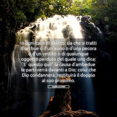 Picture 05 - Esodo 22:9 RIV - In ogni caso di delitto, sia che si tratti d’un - Bible Verse Picture