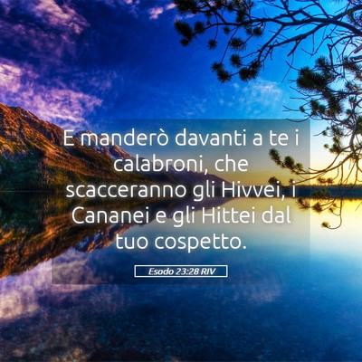 Picture 05 - Esodo 23:28 RIV - E manderò davanti a te i calabroni, che - Bible Verse Picture