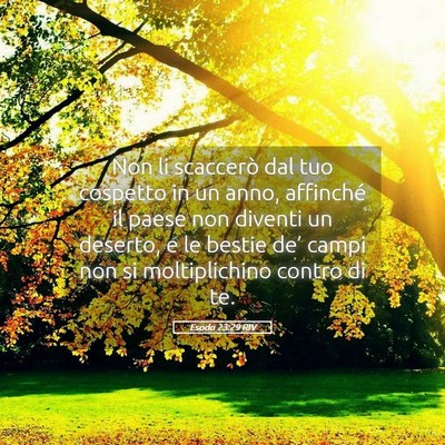 Picture 05 - Esodo 23:29 RIV - Non li scaccerò dal tuo cospetto in un anno, - Bible Verse Picture
