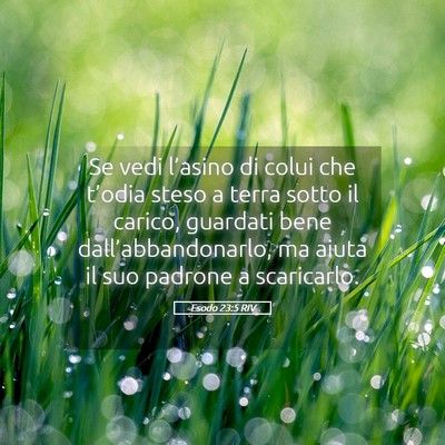 Picture 05 - Esodo 23:5 RIV - Se vedi l’asino di colui che t’odia steso a - Bible Verse Picture