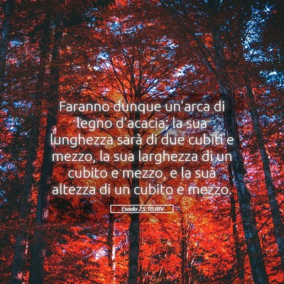 Picture 05 - Esodo 25:10 RIV - Faranno dunque un’arca di legno d’acacia; la - Bible Verse Picture