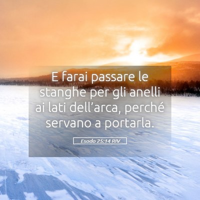 Picture 05 - Esodo 25:14 RIV - E farai passare le stanghe per gli anelli ai lati - Bible Verse Picture