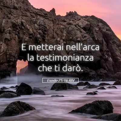 Picture 05 - Esodo 25:16 RIV - E metterai nell’arca la testimonianza che ti - Bible Verse Picture
