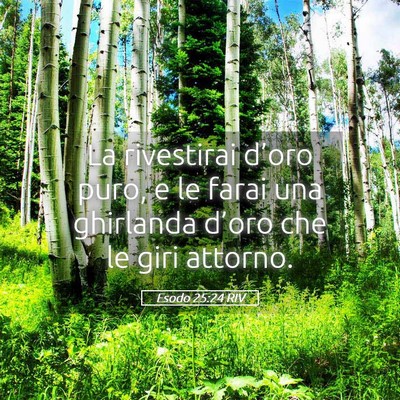 Picture 05 - Esodo 25:24 RIV - La rivestirai d’oro puro, e le farai una - Bible Verse Picture