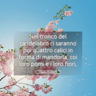 Picture 05 - Esodo 25:34 RIV - Nel tronco del candelabro ci saranno poi quattro - Bible Verse Picture