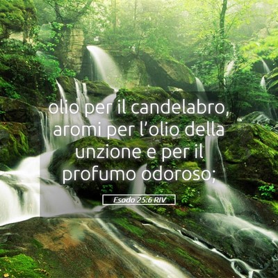 Picture 05 - Esodo 25:6 RIV - olio per il candelabro, aromi per l’olio della - Bible Verse Picture